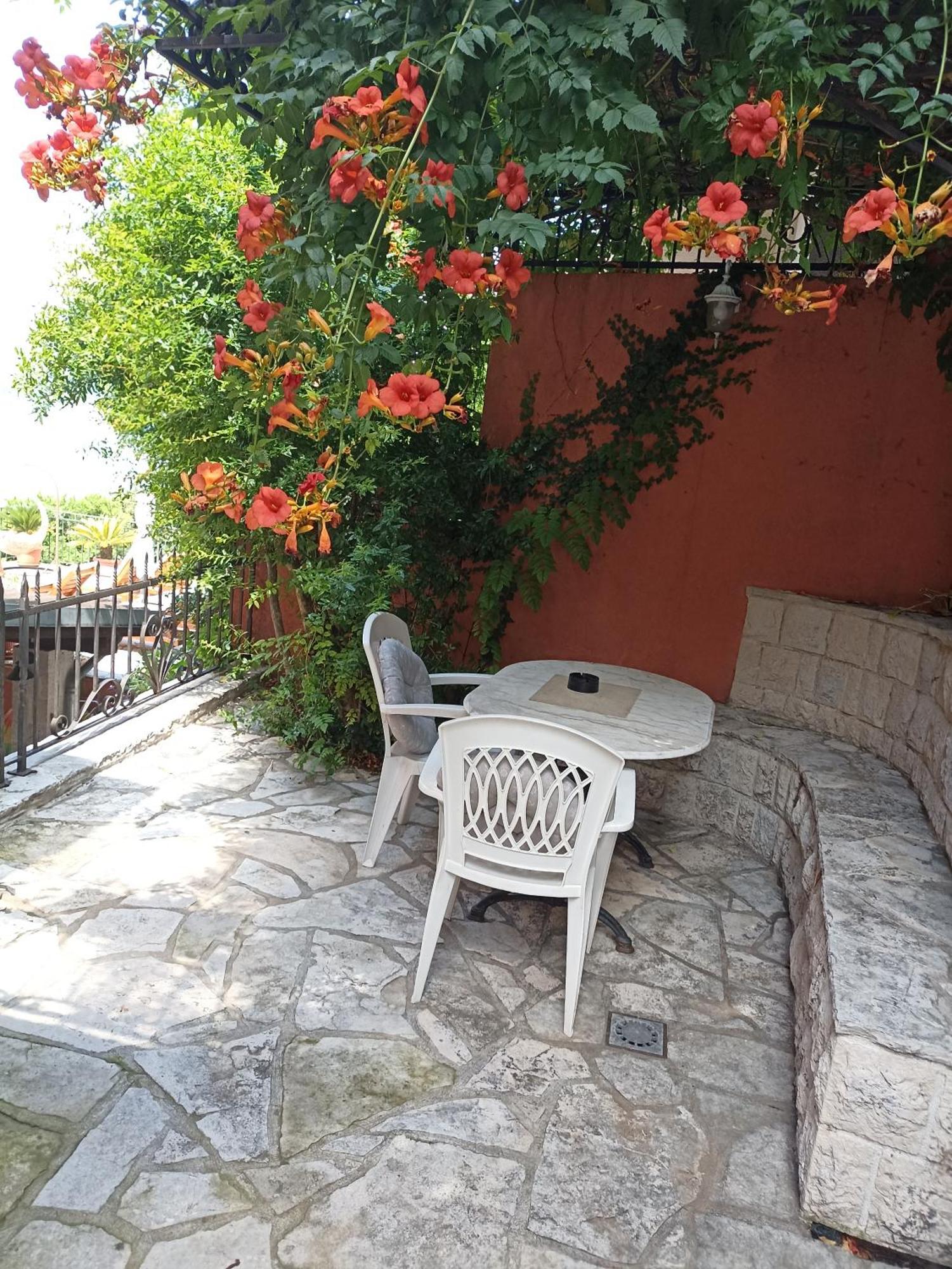 Villa Perla Del Mare Котор Экстерьер фото
